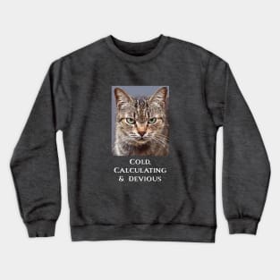 Funny Tabby Cat Lovers Sarcastic Cat For Men Women Crewneck Sweatshirt